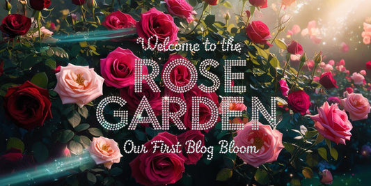 From Burnout to Bloom: The Story Behind The🫧Rose🫧Garden-The🫧Rose🫧Garden